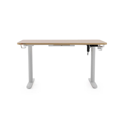 Dual Motor 3 Stage Electric Height Adjustable Desk