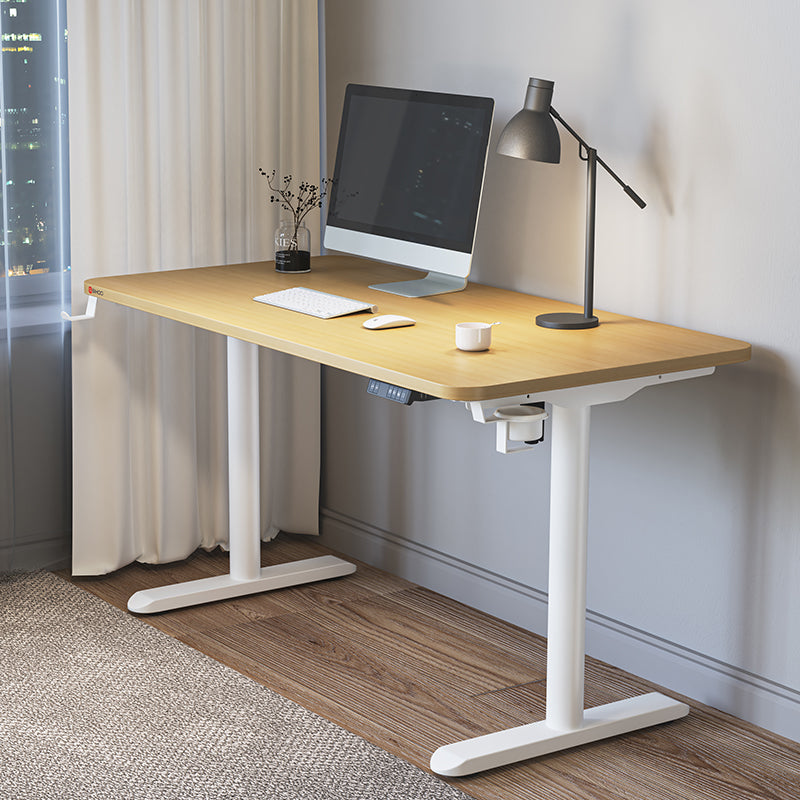 Dual Motor 3 Stage Electric Height Adjustable Desk