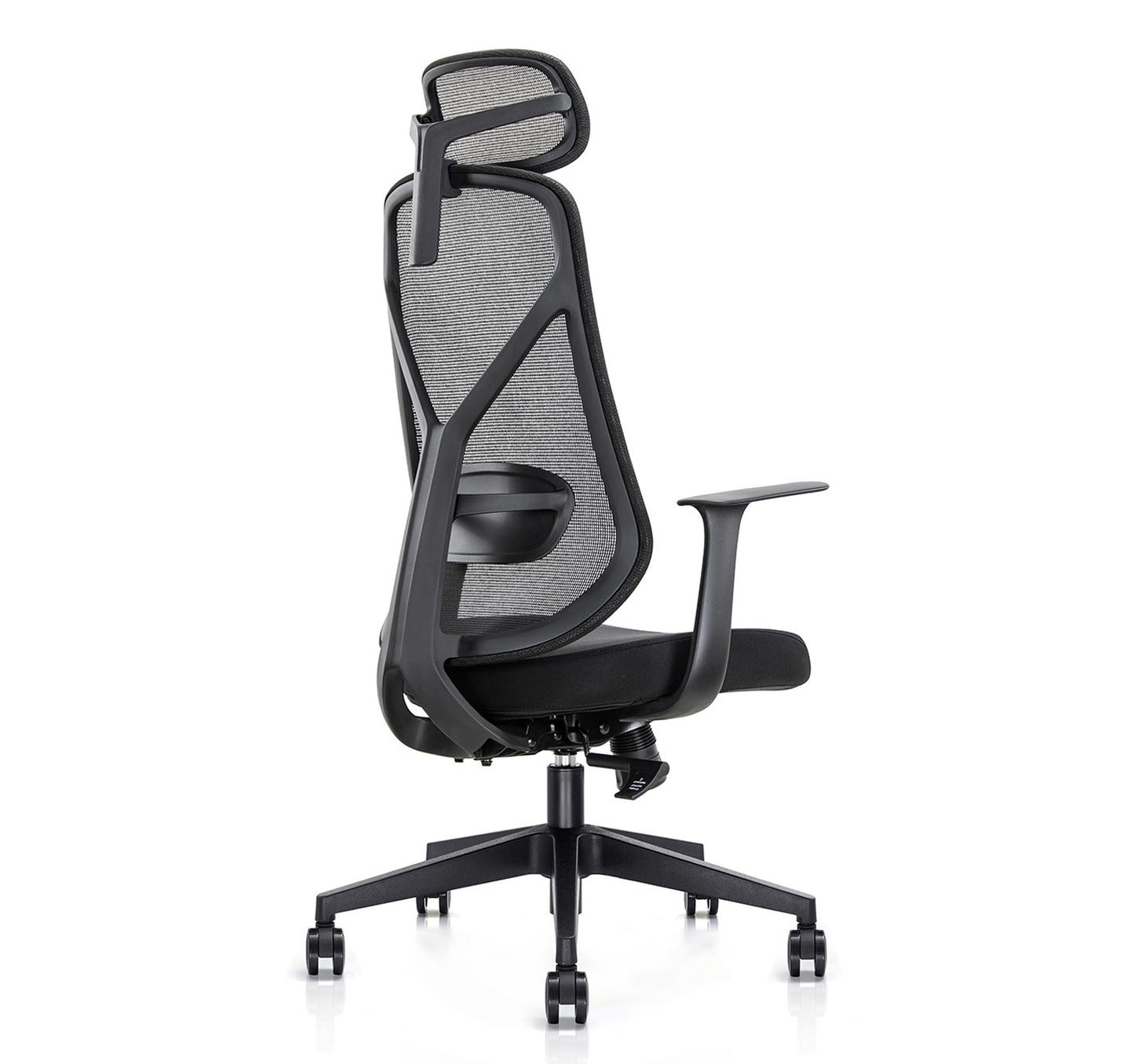 Ergo Comfy B1
