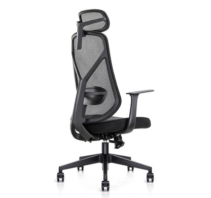 Ergo Comfy B1