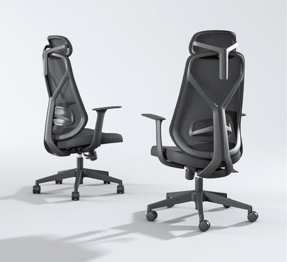 Ergo Comfy B1