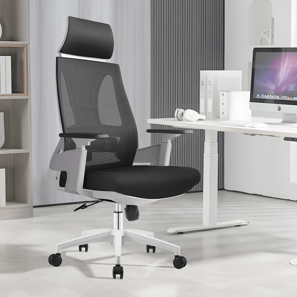 Ergo Comfy B2