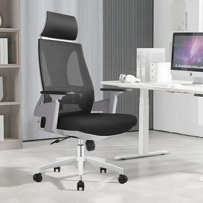 Ergo Comfy B2
