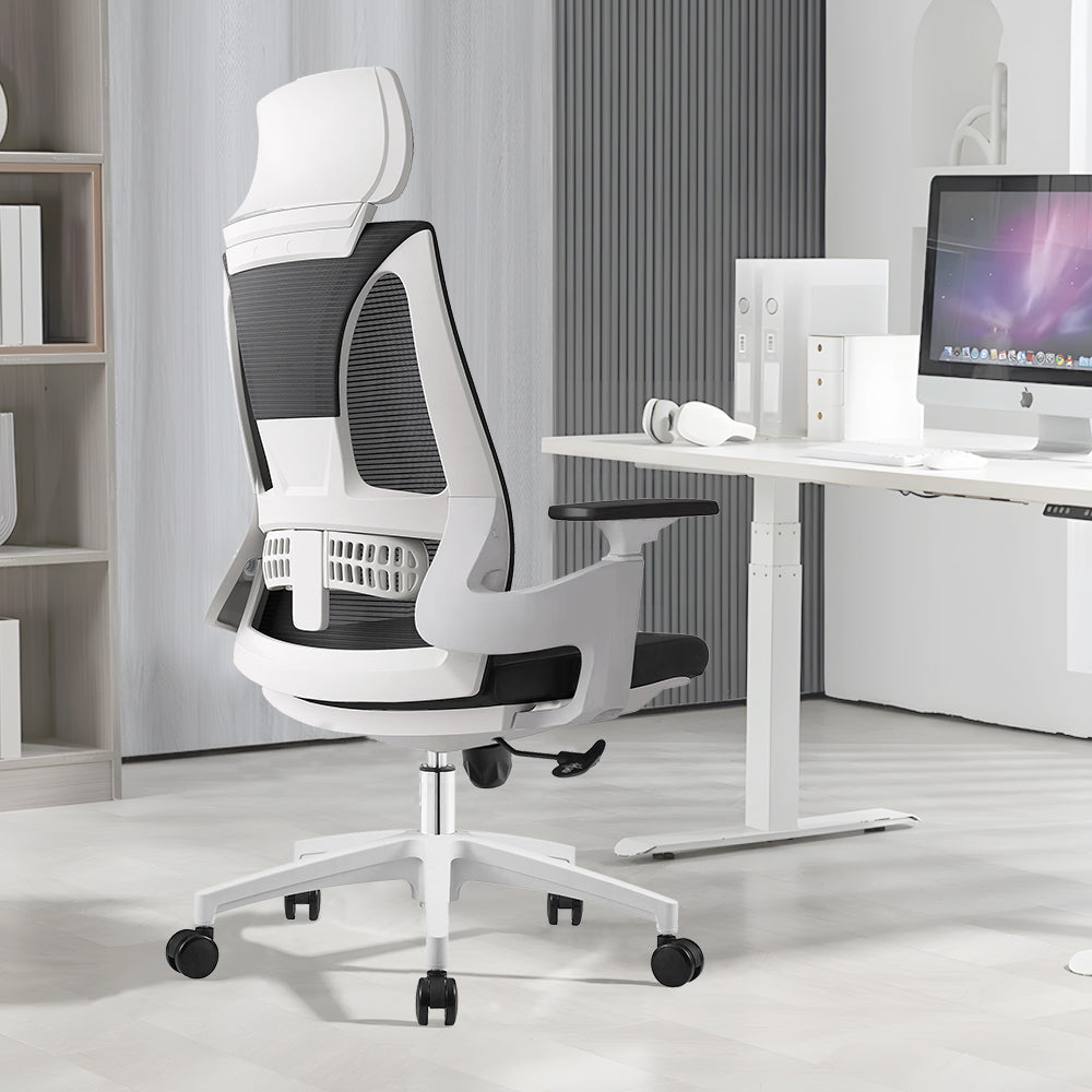 Ergo Comfy B2
