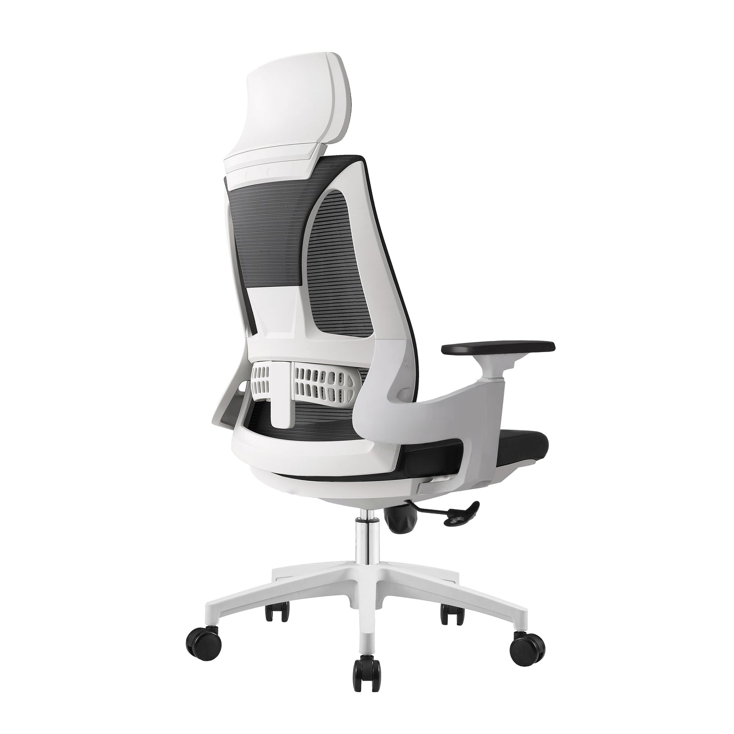 Ergo Comfy B2