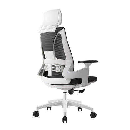 Ergo Comfy B2