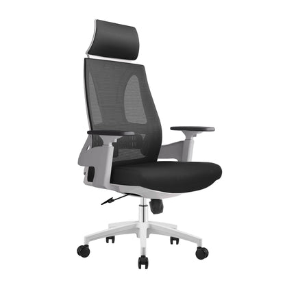 Ergo Comfy B2