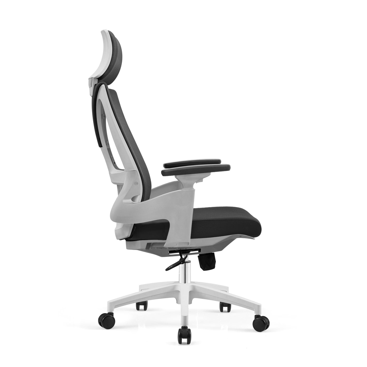 Ergo Comfy B2